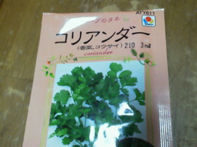 捜し物