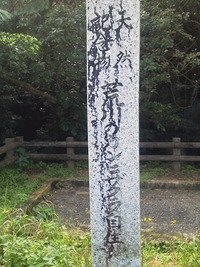 また桜が見たくて