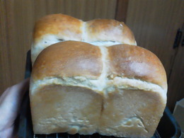 今日のパン
