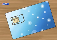 未払い料金が停止したときに携帯電話カードの登録が解除されなかった場合、どのような影響がありますか？ 2021/07/15 18:23:23