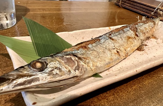 きち屋で秋刀魚