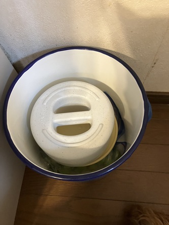 梅干し仕込み