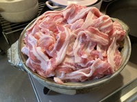 暖かい日 2024/11/12 13:59:55