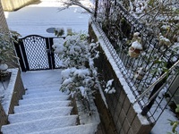 大雪 2025/02/08 17:25:36