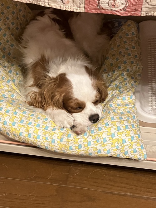 静かに過ごす日