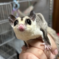 プチセール開催❤️‍ 2023/04/12 18:28:14