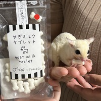 フクモモ＆小動物のおやつ販売 2023/03/24 15:58:38