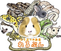 お久しぶりですヾ(*´▽`*)ﾉ 2022/09/12 17:36:48