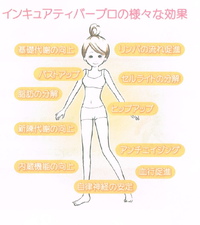 沖縄ダイエット　痩身　ルリアン　インキュア　痩身　　ラジオ波