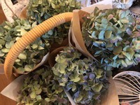 アジサイドライフラワー　入荷。。。 2018/10/11 17:42:06