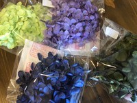 Ｌｅｍｏｎｅｄさん納品ありました 2018/10/25 16:02:48