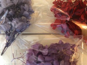 花材類入荷してます