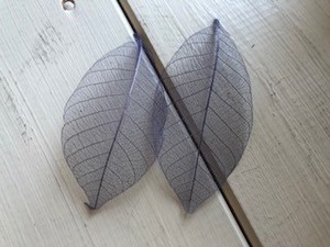 花材類入荷してます