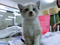 ★新入社員★ 2014/10/28 10:42:26