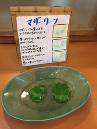 癒しヽ(^o^)丿