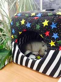ＭＩの実家☆ 2014/11/21 16:42:22