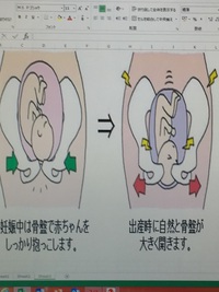 産後ママの骨盤は広ががり身体に様々な症状が出てきてしまいます。 2016/02/15 12:30:00