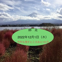 師走☆今年も残すところ1ヶ月！！！ 2022/12/01 09:29:49