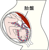 10月のオススメ商品【驚異のプラセンタパワー】 2014/10/16 10:00:00
