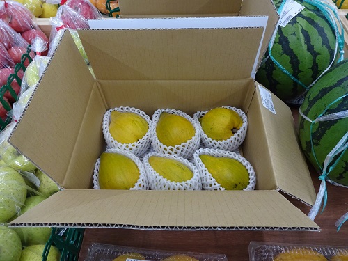 【新！ファーマーズマーケット】南風原 くがに市場は野菜の試食コーナーも充実！