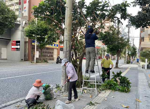 折れた枝を切る