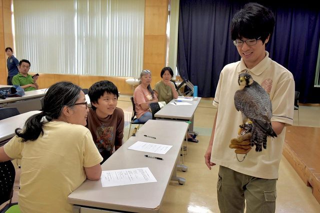 ケガで保護したチョウゲンボウを紹介する仲間信志 飼育員