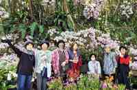 琉球新報ローカルblog:沖縄県認定工芸士 『仲嶺三線店』仲嶺盛文さん