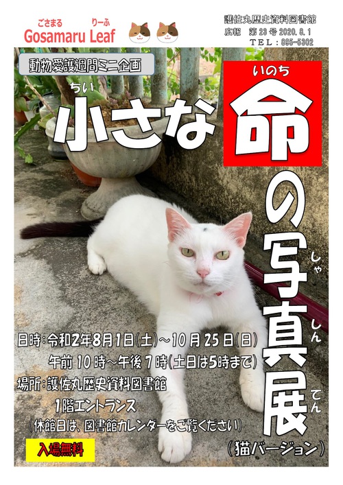 動物愛護週間ミニ企画 小さな命の写真展 猫バージョン のお知らせ 中城村護佐丸歴史資料図書館