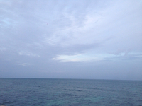 おはよ。 2015/11/04 08:10:00