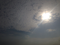 晴れてるね〜 2015/04/24 09:00:24