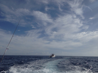 おっはよーさーん♫ 2015/07/09 08:22:37
