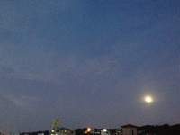 おはよ。 2015/09/29 08:13:58