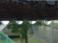 雨… 2014/02/13 11:39:38