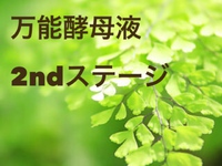 万能酵母液２nd終わりました