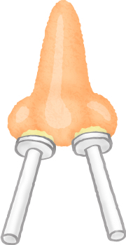 サボテンノーズワックス