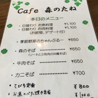 カフェ 森のたね 2016/08/31 23:51:26