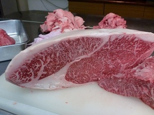 もとぶ牛