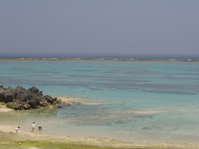 春の海