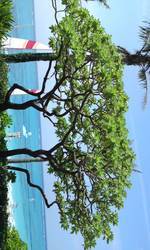 Elegant holiday☆ 2011/09/15 15:11:13