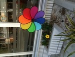 Laluzの新しい仲間 2011/10/05 15:07:07