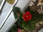 初夏の訪れ？＼(^o^)／ 2012/04/04 10:03:56