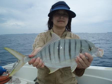 本日の釣果