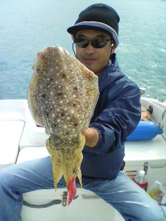 本日のエギング釣果！