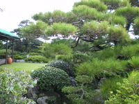 沖縄そば・茶処　百美（ひゃくび）