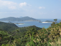 座間味 ISLAND