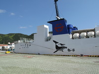座間味 ISLAND