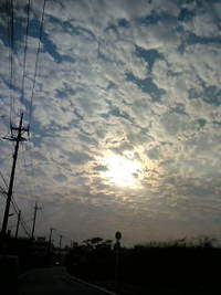 2007年11月21日