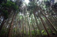 2009年07月20日