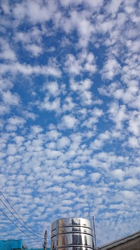 H28.11.19（土）雲
