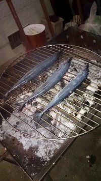 H26.11.01（土）さんまパーティー 2014/11/11 13:56:31